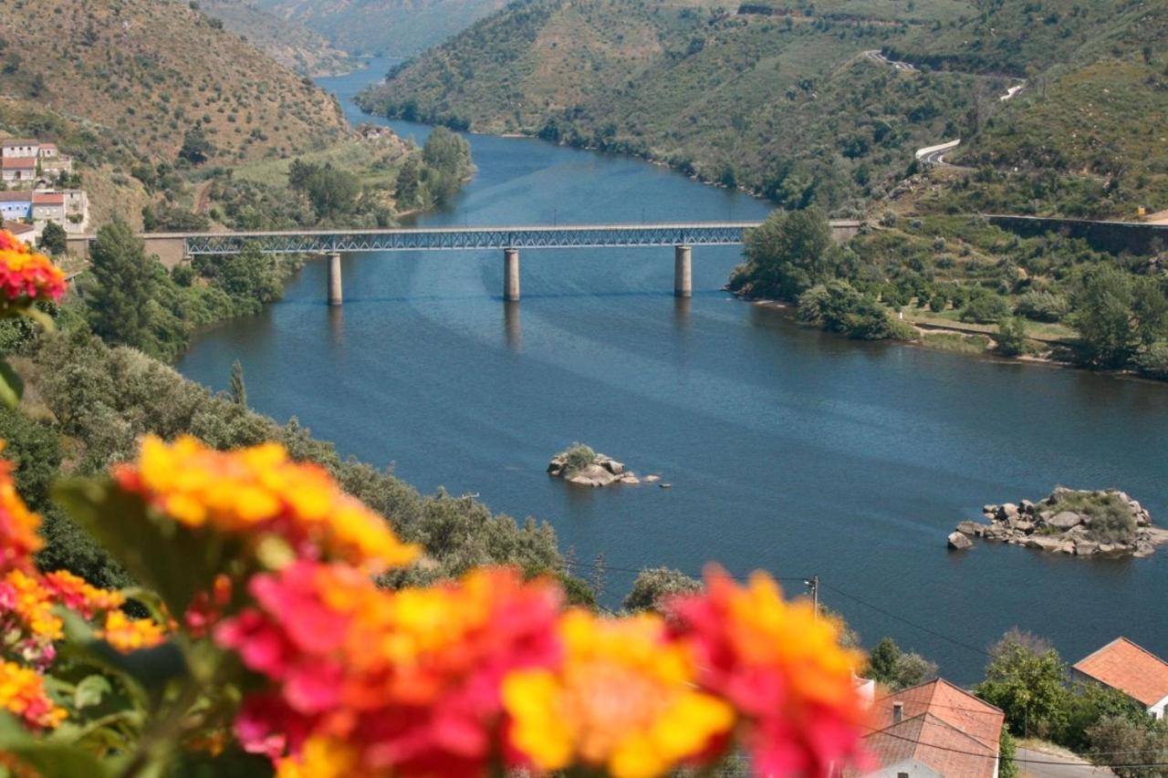 Quinta Do Belo-Ver Turismo De Habitacao Belver  Exteriér fotografie